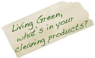 living green, whats in your cleaning products?